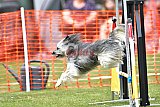 wedstrijd apeldoorn 18-04-2026