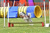 wedstrijd apeldoorn 18-04-2026