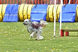 wedstrijd apeldoorn 18-04-2026