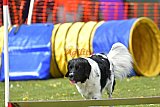 wedstrijd apeldoorn 18-04-2026