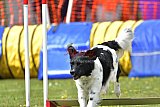 wedstrijd apeldoorn 18-04-2026