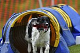 wedstrijd apeldoorn 18-04-2026