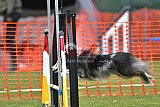 wedstrijd apeldoorn 18-04-2026