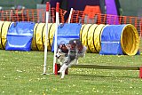 wedstrijd apeldoorn 18-04-2026