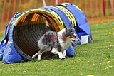 wedstrijd apeldoorn 18-04-2026
