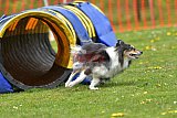 wedstrijd apeldoorn 18-04-2026