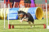 wedstrijd apeldoorn 18-04-2026