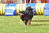 wedstrijd apeldoorn 18-04-2026