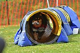 wedstrijd apeldoorn 18-04-2026