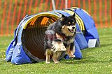 wedstrijd apeldoorn 18-04-2026