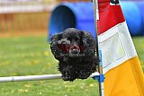 wedstrijd apeldoorn 18-04-2026