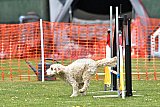 wedstrijd apeldoorn 18-04-2026