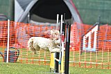 wedstrijd apeldoorn 18-04-2026