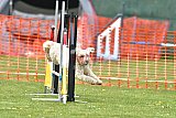 wedstrijd apeldoorn 18-04-2026