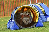 wedstrijd apeldoorn 18-04-2026