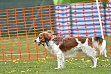 wedstrijd apeldoorn 18-04-2026