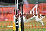wedstrijd apeldoorn 18-04-2026
