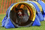 wedstrijd apeldoorn 18-04-2026