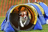 wedstrijd apeldoorn 18-04-2026