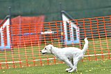 wedstrijd apeldoorn 18-04-2026