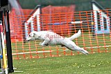wedstrijd apeldoorn 18-04-2026