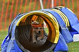 wedstrijd apeldoorn 18-04-2026