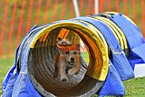 wedstrijd apeldoorn 18-04-2026