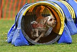 wedstrijd apeldoorn 18-04-2026