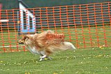 wedstrijd apeldoorn 18-04-2026