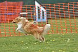 wedstrijd apeldoorn 18-04-2026