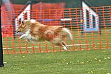 wedstrijd apeldoorn 18-04-2026