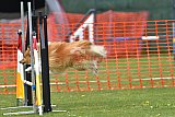 wedstrijd apeldoorn 18-04-2026
