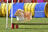 wedstrijd apeldoorn 18-04-2026