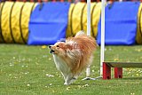 wedstrijd apeldoorn 18-04-2026