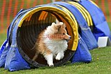 wedstrijd apeldoorn 18-04-2026