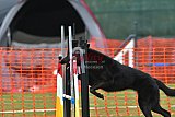 wedstrijd apeldoorn 18-04-2026