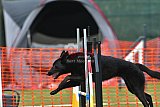 wedstrijd apeldoorn 18-04-2026