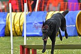 wedstrijd apeldoorn 18-04-2026