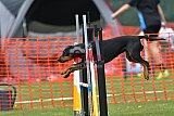 wedstrijd apeldoorn 18-04-2026