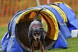 wedstrijd apeldoorn 18-04-2026