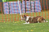 wedstrijd apeldoorn 18-04-2026