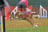 wedstrijd apeldoorn 18-04-2026