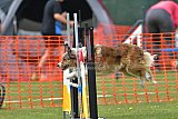 wedstrijd apeldoorn 18-04-2026