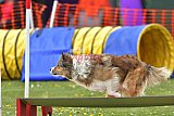 wedstrijd apeldoorn 18-04-2026