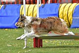wedstrijd apeldoorn 18-04-2026