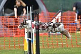 wedstrijd apeldoorn 18-04-2026