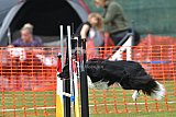 wedstrijd apeldoorn 18-04-2026