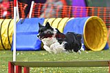 wedstrijd apeldoorn 18-04-2026
