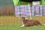 wedstrijd apeldoorn 18-04-2026