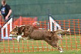 wedstrijd apeldoorn 18-04-2026